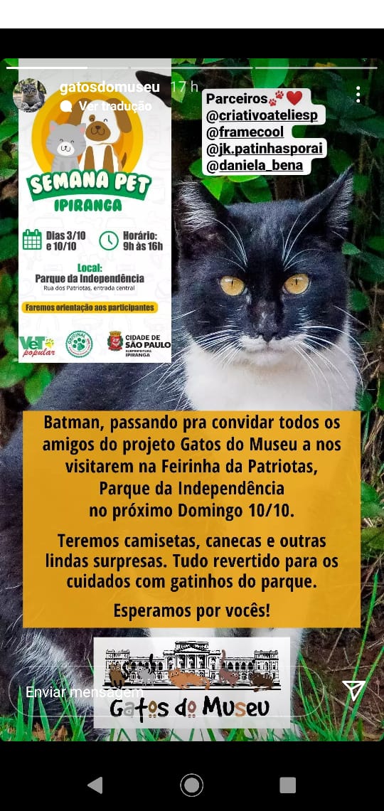 2021-10-12-Ong Gatos do Museu.jpeg