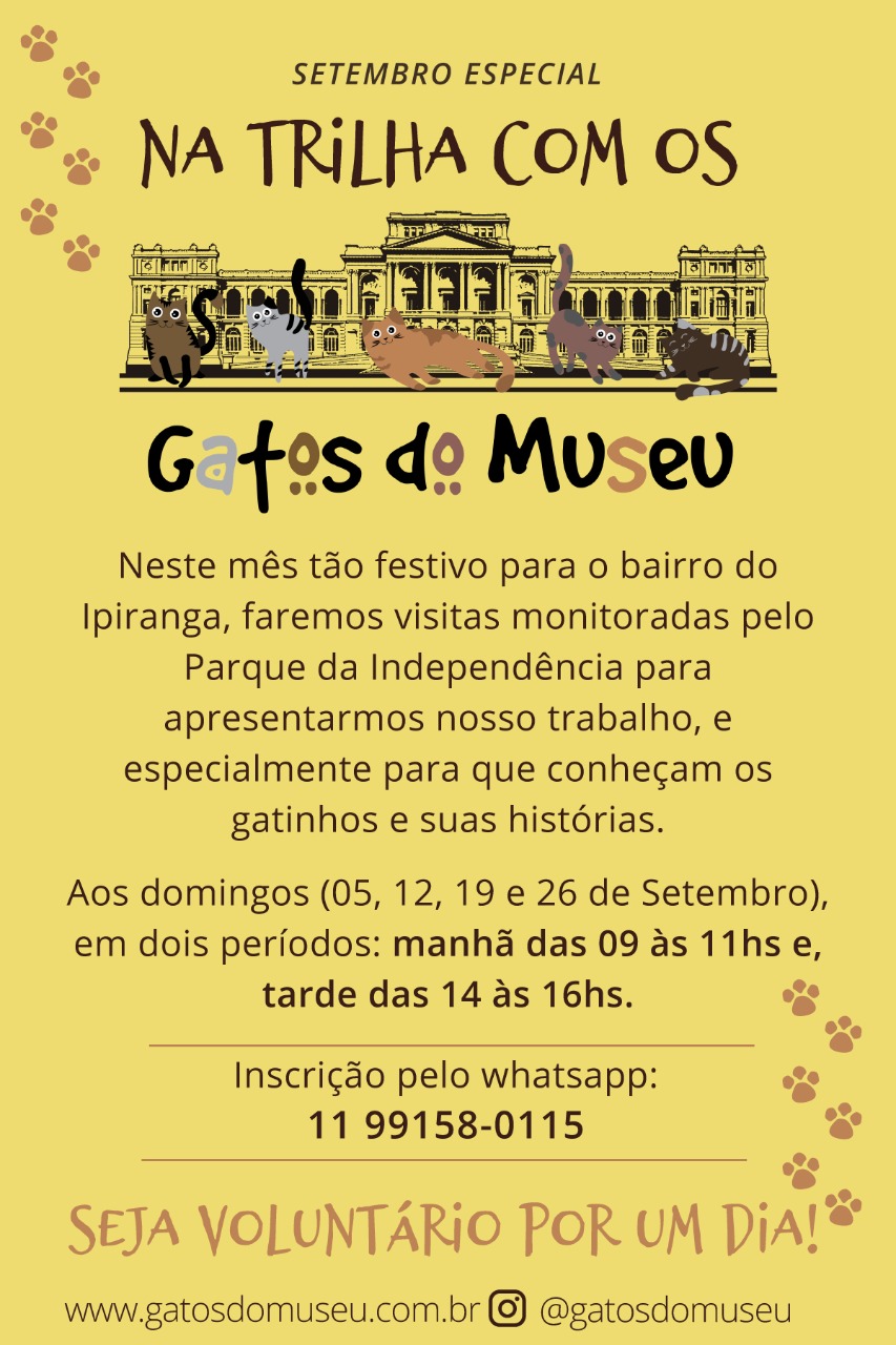 gatos do museu.jpeg